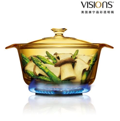 VISIONS ͸ʱϵУ